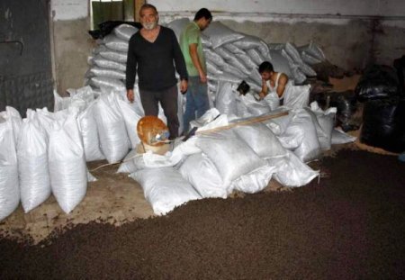 Prina çevre dostu olmaya devam ediyor