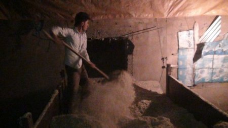 Ramazan'da Sıcaklardan Etkilenmemek İçin Gece Çalışıp Gündüz Dinleniyorlar