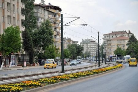 Raylar Arasına 70 Bin Çiçek Dikilecek