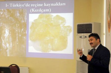 Reçine ithalatı bitiyor, Türkiye artık kendi reçinesini üretecek