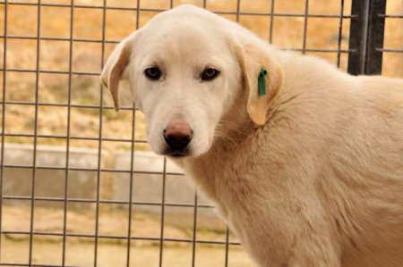 Rehabilitasyon merkezi kapasite artırıyor