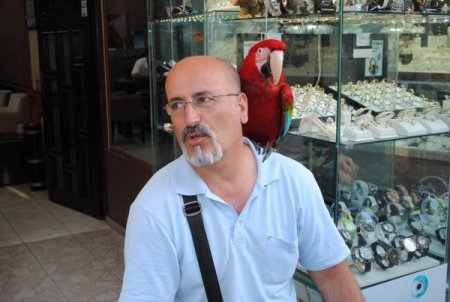 Ressam Hüseyin Söylmez, Papağanı Çillo'yu Yanında Gezdiriyor