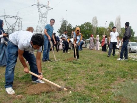 Reyhanlı'daki patlamada ölenlerin hatırasına 52 fidan dikildi