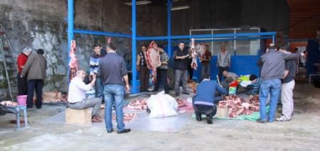 Rize Belediyesi'ne Ait Alanlarda 300 Kurban Kesildi