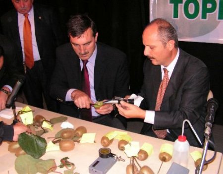 Rize Kivi Üreticileri Birliği Başkanı Paliç: Kivi Hasadı 15 Kasım'dan Sonra Başlamalı