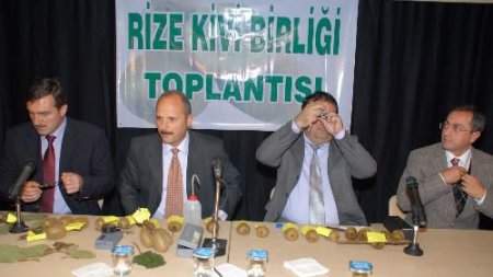 Rize Kivi Üreticileri Birliği Başkanı Paliç: Kivi Hasadı 15 Kasım'dan Sonra Başlamalı