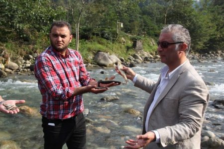 Rize toplu balık ölümleri