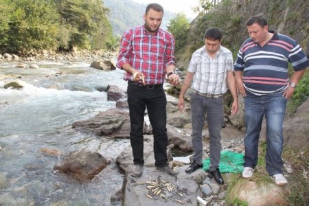 Rize toplu balık ölümleri