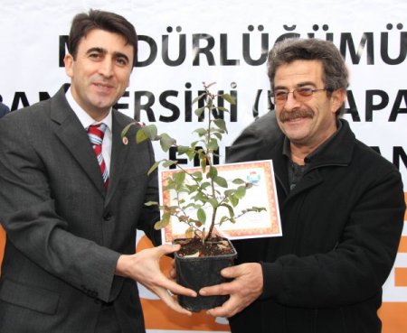Rize’de 20 aileye 6 bin likapa fidanı dağıtıldı