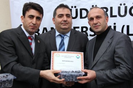 Rize’de 20 aileye 6 bin likapa fidanı dağıtıldı