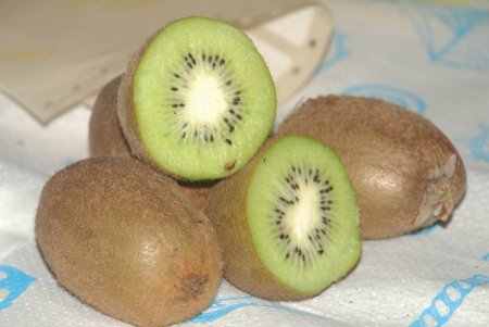 Rize'de kivi hasat tarihi 15 Kasım olarak belirlendi