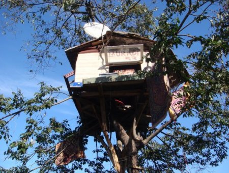 Rizeli 3 kafadar ağaç evde yaşıyor