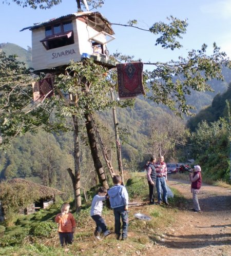 Rizeli 3 kafadar ağaç evde yaşıyor