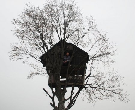 Rizeli 3 kafadar ağacın zirvesine yaptığı evde vakit geçiriyor