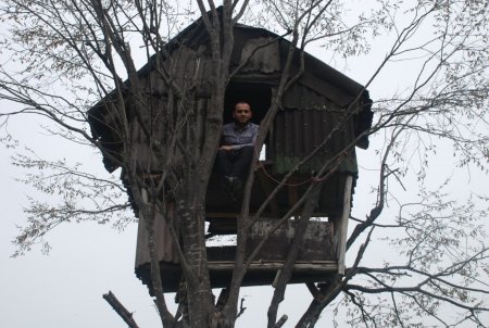 Rizeli 3 kafadar ağacın zirvesine yaptığı evde vakit geçiriyor