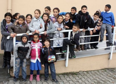 Romanlar tez çalışmasındaki dini soruları rencide edici buldu