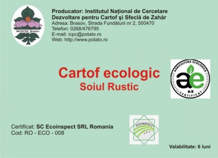 Romanya'nın Umudu Patates Enstitüsü'nde