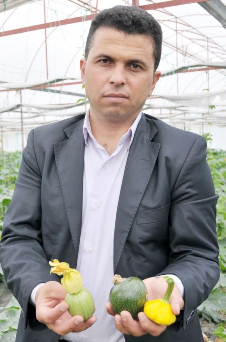 Rus kabağına iç piyasanın ilgisi Alanyalı çiftçileri umutlandırdı