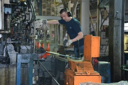 Rus validen Türkiye'ye uçak seferi talebi