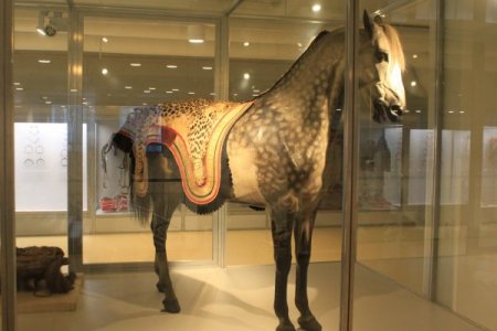 Rusların gizli hazinesi ilk kez görüntülendi