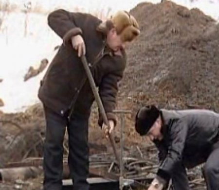 Rusya'da 300 Bin Tavuk Açlıktan Telef Oldu