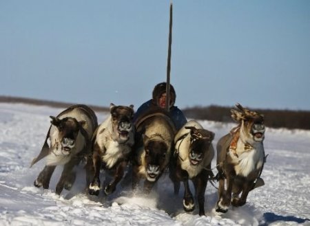 Rusya'da Eksi 50'de Yaşam Devam Ediyor