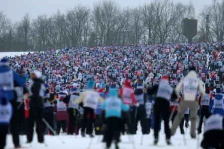 Rusya’da köpek Çuça ve 25 bin kişi birlikte kaydı