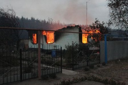Rusya'da Orman Yangınları: 2 Kişi Öldü, Binlerce Kişi Tahliye Edildi