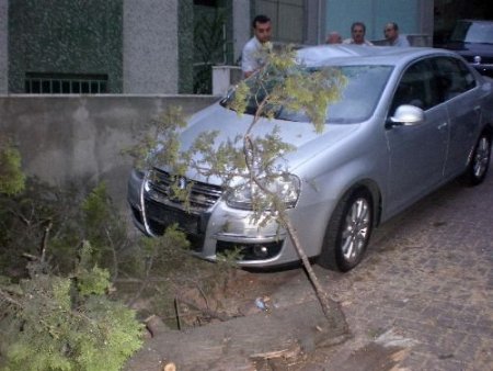 Rüzgarın Devirdiği Ağaç Araçların Üstüne Düştü(özel)