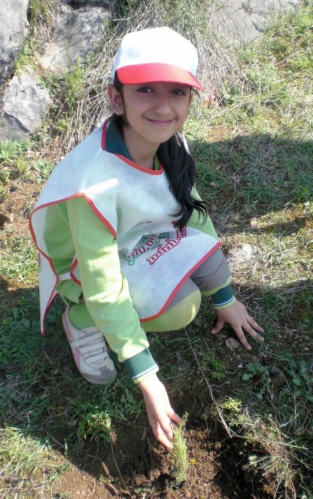 Safvet Koleji, Gonca Dergisi İşbirliği İle Fidan Dikti