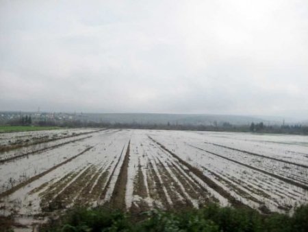 Sağanak Yağış Hatay'da Curcurum Deresi'nin Taşmasına Neden Oldu