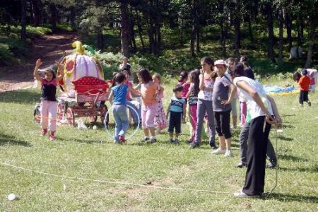 Sağlık Çalışanları Piknikte Buluştu