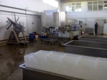 Sağlıksız şartlarda peynir üreten işletmeye 20 bin lira para cezası verildi