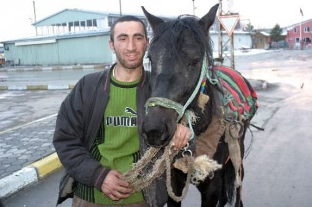 Sahibinden Kurtulan At, Trafiği Karıştırdı