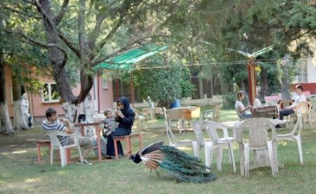 Sahibinden satılık ‘Kuş Cenneti’