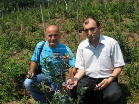 Sahibine Yüksek Gelir Sağlayacak Örnek Bahçe Kurmak İçin Arazi Arıyor