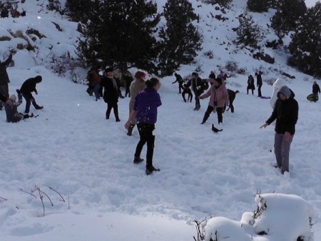 Sahilde güneşlenip dağda kayak yapıyorlar