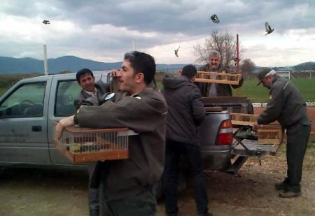 Sakalar özgürlüğüne kavuştu