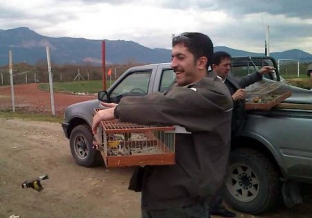 Sakalar özgürlüğüne kavuştu