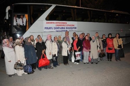 Sakarya cephesinden, Çanakkale cephesini görmeye gittiler