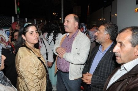 Sakarya cephesinden, Çanakkale cephesini görmeye gittiler