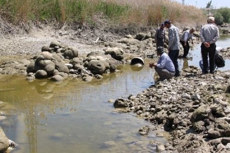 Sakarya Nehri kurudu, çiftçi endişeli
