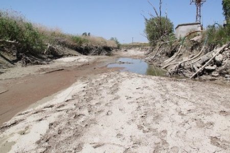 Sakarya Nehri kurudu, çiftçi endişeli