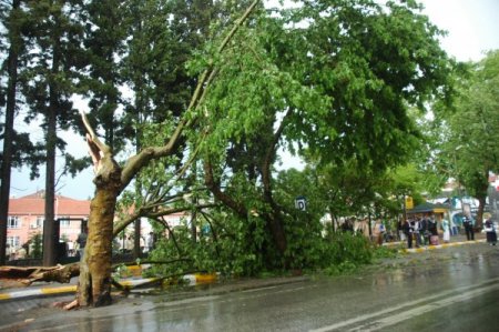Sakarya'da 10 Dakikada Metrekareye 8 Kilogram Yağış Düştü