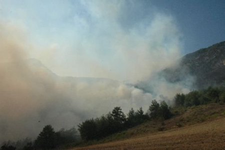 Sakarya'da 15 Hektar Alanda Etkili Olan Orman Yangını Kontrol Altına Alınamadı