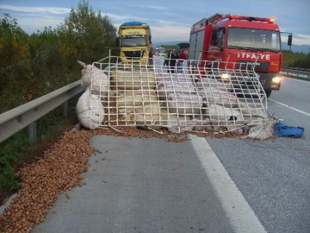 Sakarya'da Minibüs Devrildi: 11 Yaralı