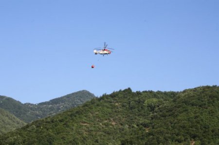 Sakarya'da Orman Yangını