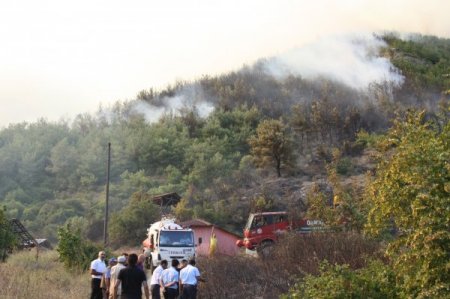 Sakarya'da Orman Yangını