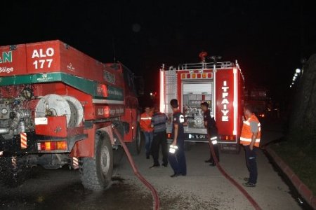 Sakarya'da orman yangını