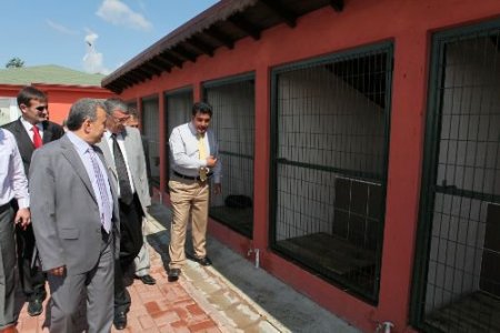 Sakarya'da Sokak Hayvanları İçin Geçici Hayvan Bakımevi Açıldı